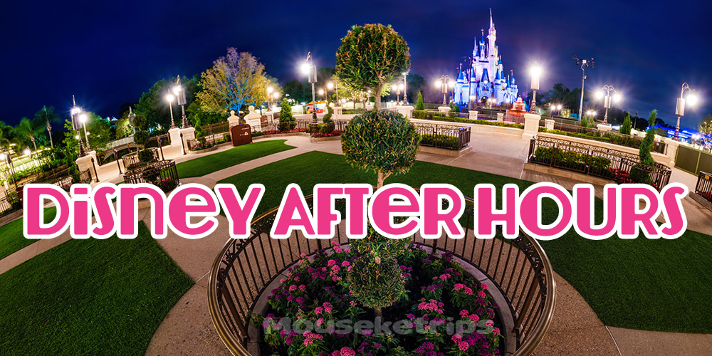 disney after hours