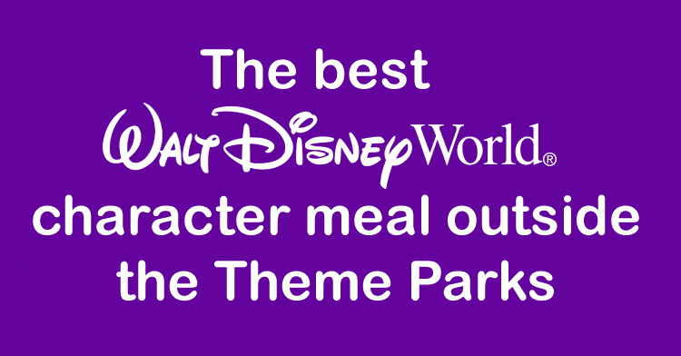 Disney World Character Meal
