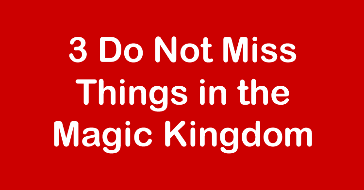 do not miss magic kingdom